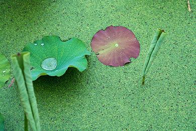 暴雪总裁谈国服：我希望暴雪游戏能回归中国大陆